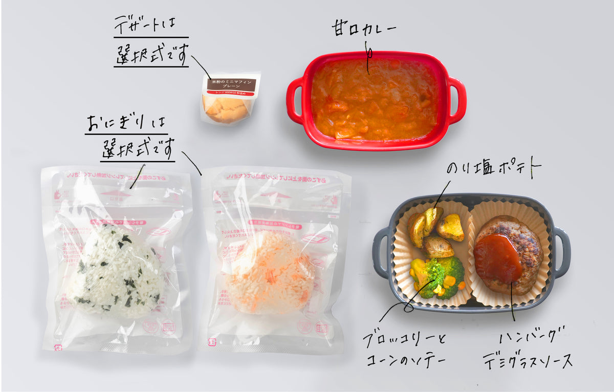 【7品】【持ち運び】甘口カレー×ハンバーグデミグラスソース