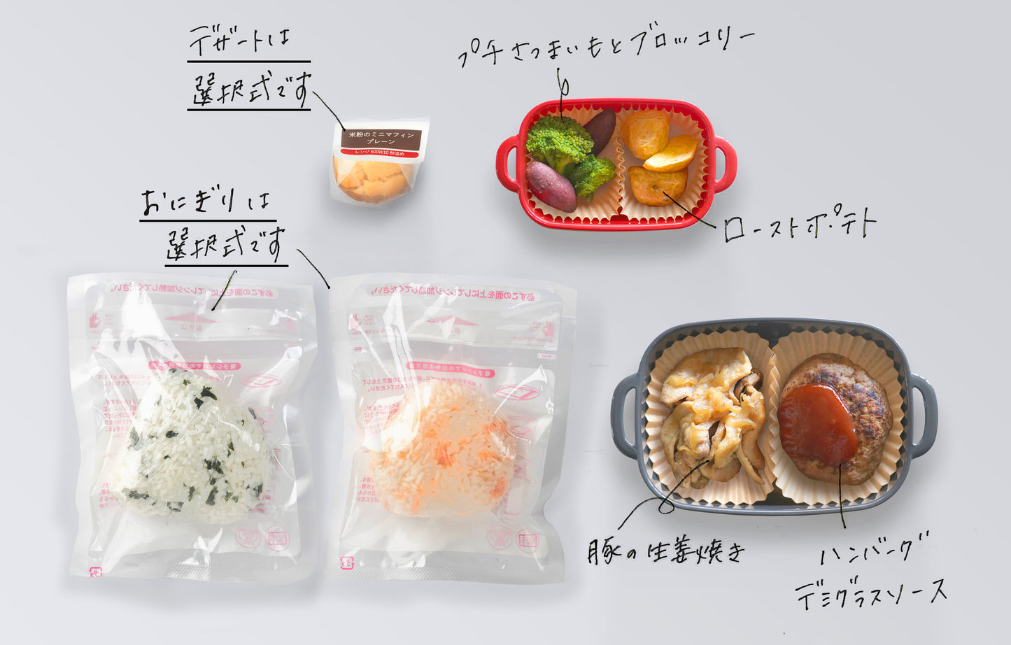 【持ち運び】ハンバーグデミグラスソース×豚の生姜焼きセット